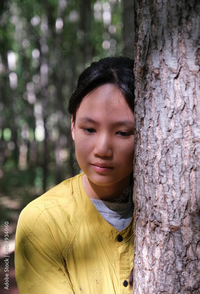 A Chinese girl hugging a big birch tree A Chinese girl hugging a big birch tree