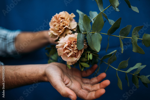 Two carnations 
 photo