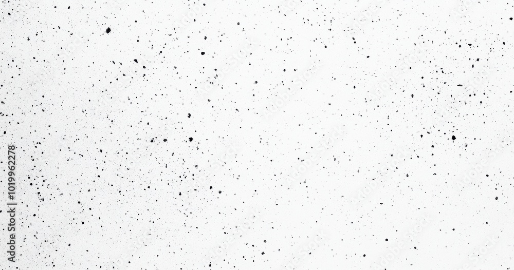 White Noise Texture. White Noise Texture.
