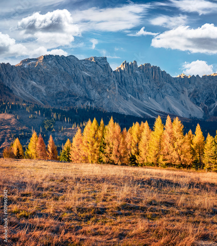 Orange larch trees forest on the top of Alpine pass. Colorful autumn scene of Dolomite Alps. Wondeful morning view of Italian countryside, Italy, Europe. Beauty of nature concept background. photo