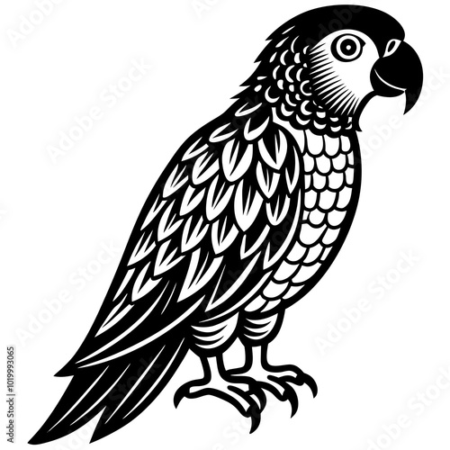 illustration of a parrot