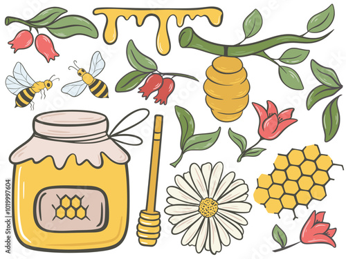 Honey and beekeeping colorful hand drawn set. Jar of collected honey, honeycomb, honey bees, flower buds, leaves and chamomile clip art collection. Natural eco honey products, vector graphics