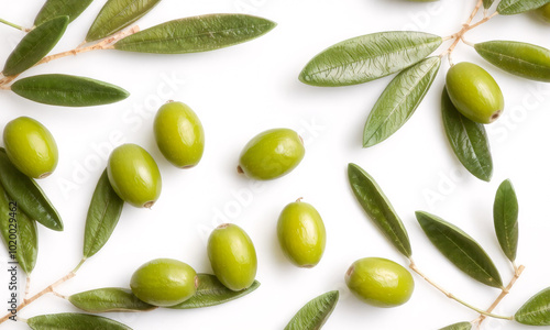 Wallpaper Mural green olive leaves blank space   isolated on white background Torontodigital.ca