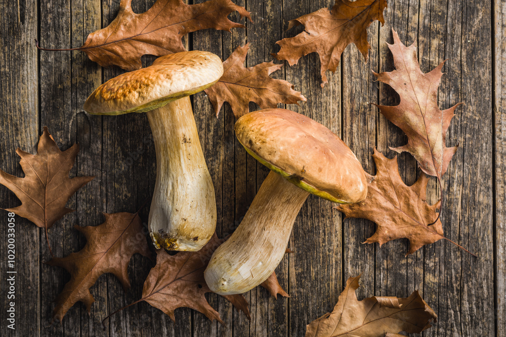 Fresh boletus mushrooms on wooden table. Top view. Fresh boletus mushrooms on wooden table. Top view.