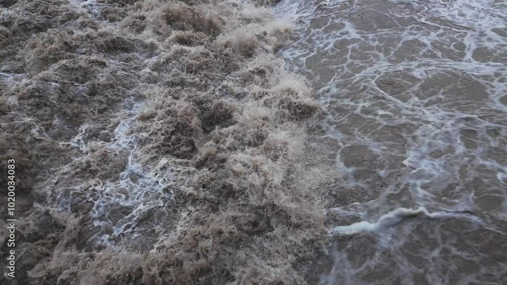 River in flood after heavy rains River in flood after heavy rains