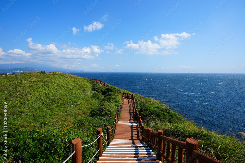 Obraz premium fine view with seaside walkway