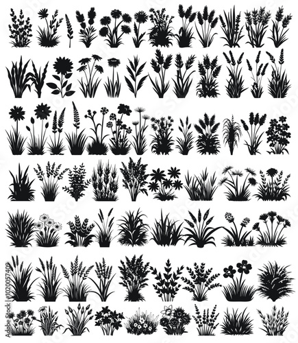 Wild Flower Grass Design Vector Set