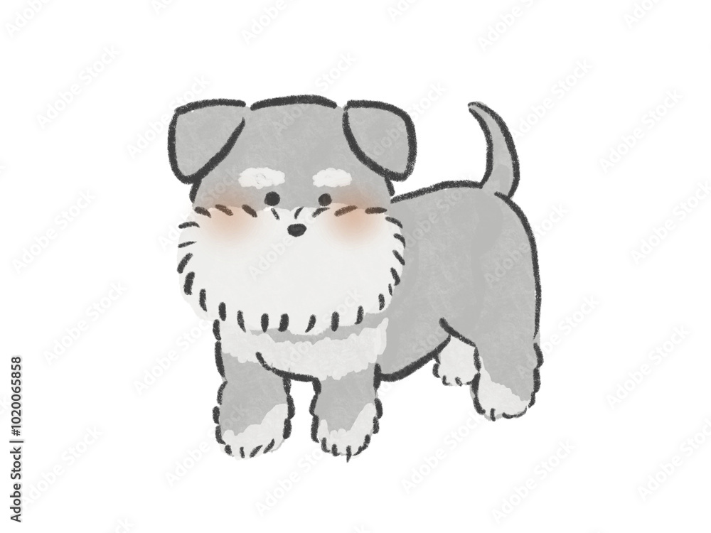 Fototapeta premium 正面を向いて立っているシュナウザーのイラスト