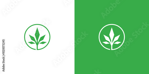 Cannabis or Marijuana Logo Design