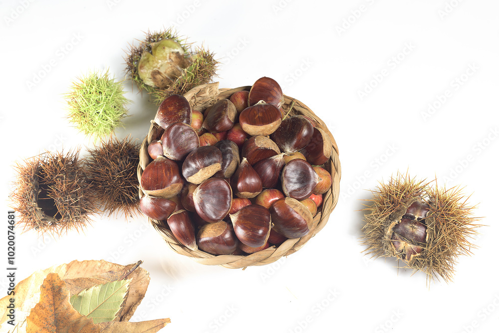 Basket of Chestnuts with Autumn Leaves