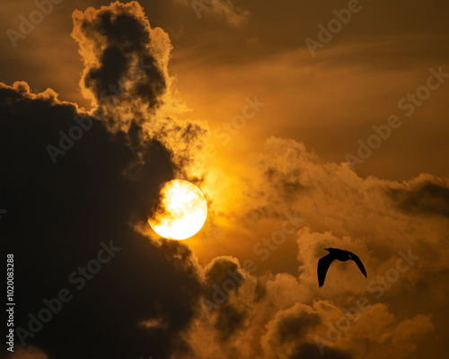dramatic sky at the time of sunset	