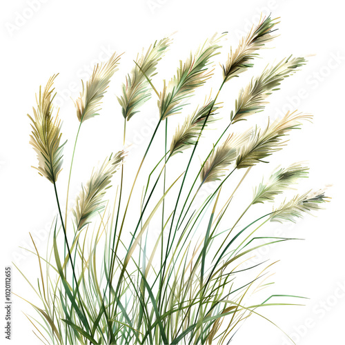 Grass Clipart Vector Illustration