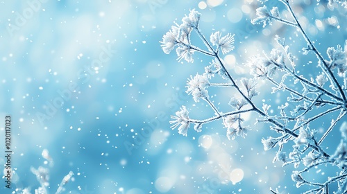 Frozen branches with delicate snow photo