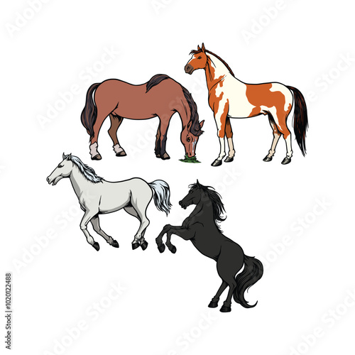 Farm Animal Horse in various poses in hand drawn style vector Illustration