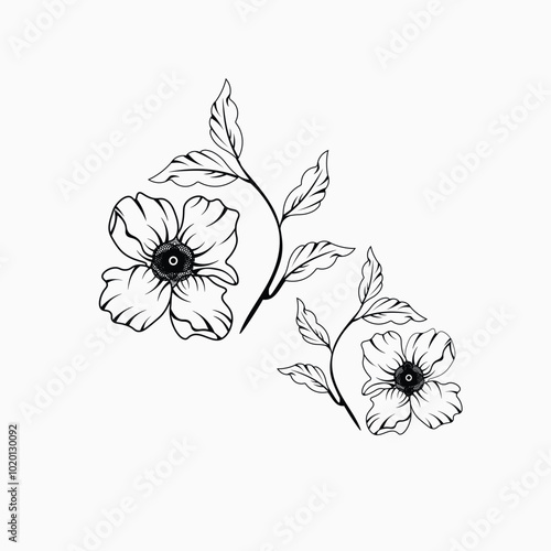sketches of blooming floral plants. Hand drawn vintage peony flowers and leaves in line art style.