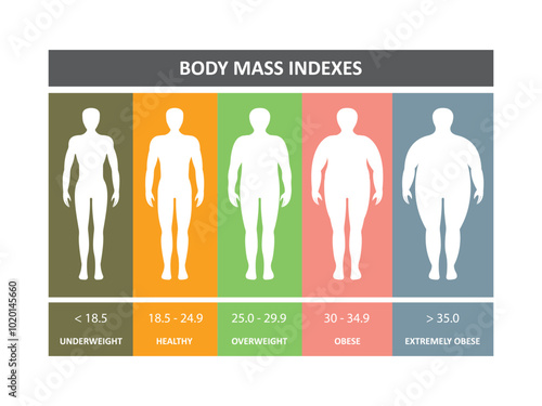 body mass index men vector design
