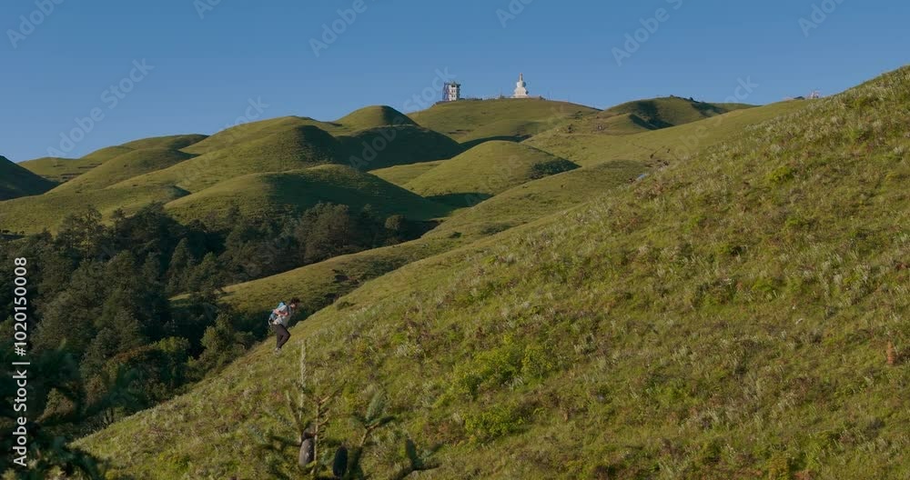 Drone shot of male hiker in Nepal trekking through green hills and forested mountain landscape of Sailung Dolakha lush scenery and serene environment cinematic adventure tourism near Tibet border Drone shot of male hiker in Nepal trekking through green hills and forested mountain landscape of Sailung Dolakha lush scenery and serene environment cinematic adventure tourism near Tibet border