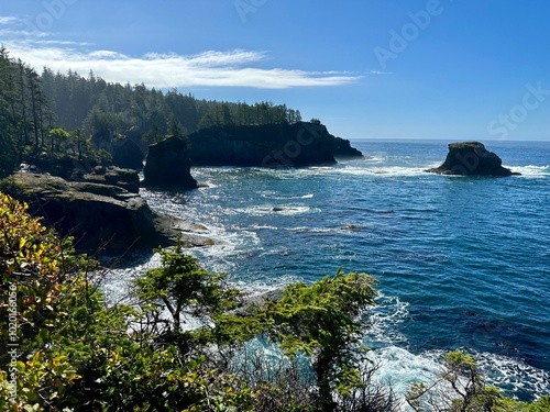 Cape Flattery at Neah bay, Washington 