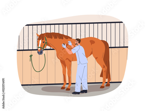Veterinarian doctor examining horse in stable, equine health care, maintenanc...