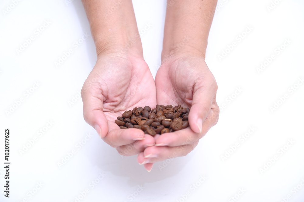 Close up: A handful of coffee beans; a woman's hands Close up: A handful of coffee beans; a woman's hands