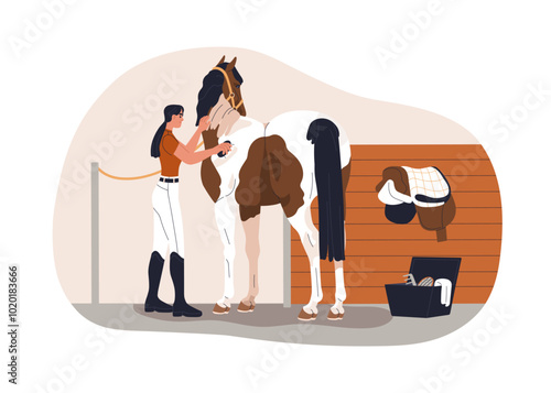 Brushing, grooming horse. Cleaning equine coat, hair hygiene. Stallion care a...