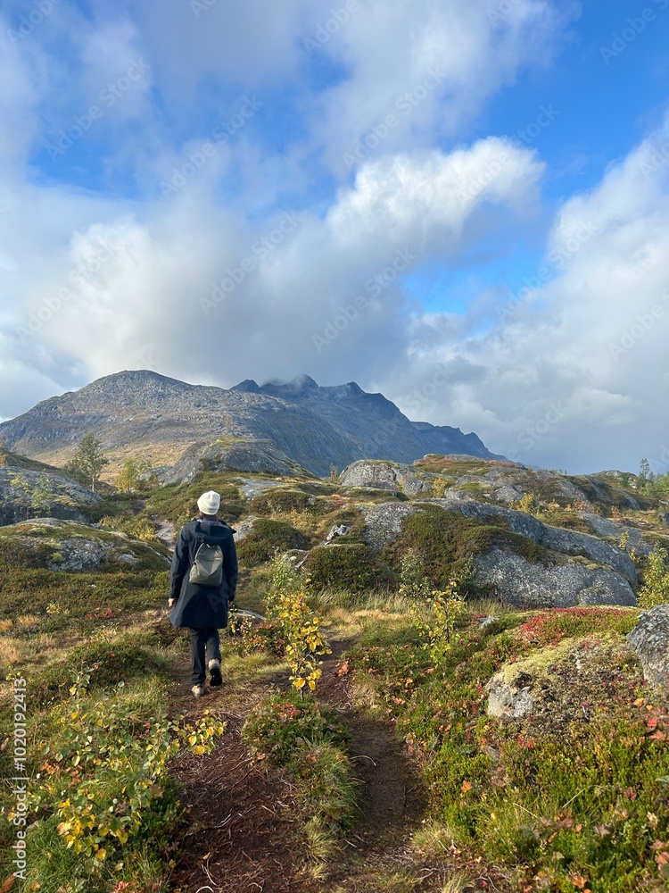 Hiker Walking Through Mountain Path in Scenic Landscape Hiker Walking Through Mountain Path in Scenic Landscape