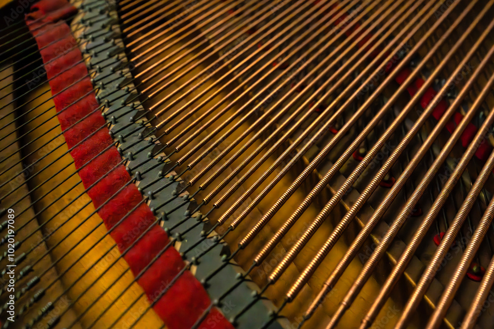 string in the piano string in the piano