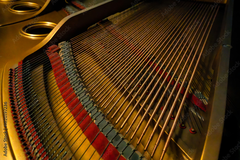 string in the piano string in the piano