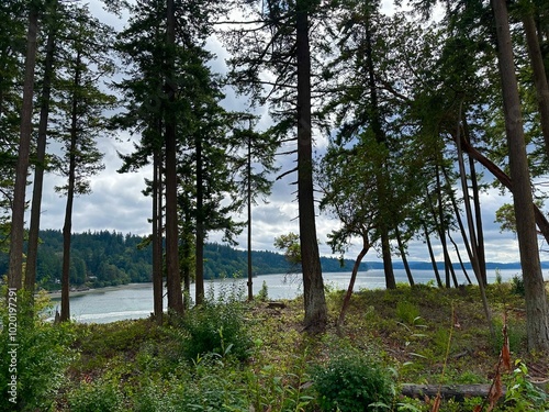 Puget sound waterways in Washington