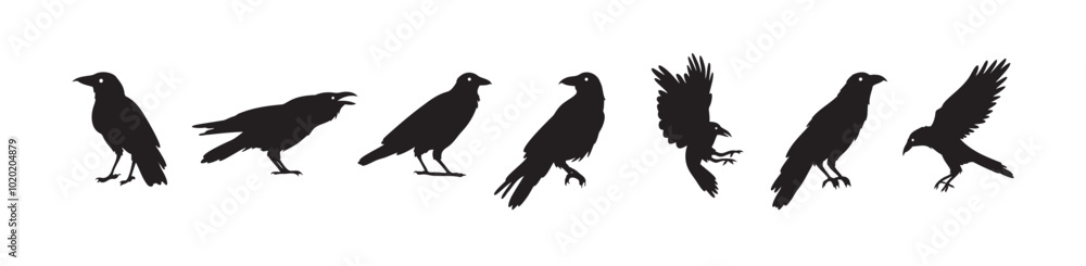 Obraz premium Crow isolated black silhouette set. Crows, raven halloween Dark birds icon clipart