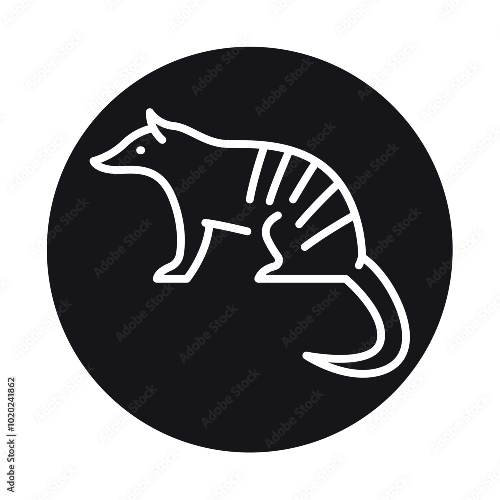 Marsupial anteater black line illustration. Animals of Australia. Marsupial anteater black line illustration. Animals of Australia.