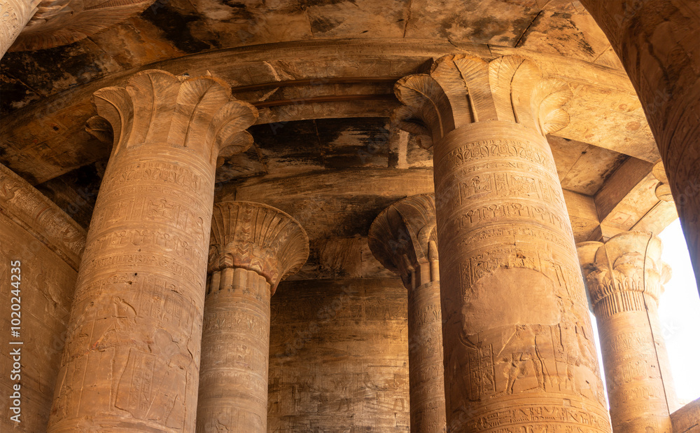 Discover the powerful symbolism behind the massive pillars that support the roof of the Temple of Horus at Edfu, representing the strength and stability of the god's rule in Egypt. Discover the powerful symbolism behind the massive pillars that support the roof of the Temple of Horus at Edfu, representing the strength and stability of the god's rule in Egypt.