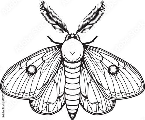 Wax Moth Bug simple outline vector illustration line art
