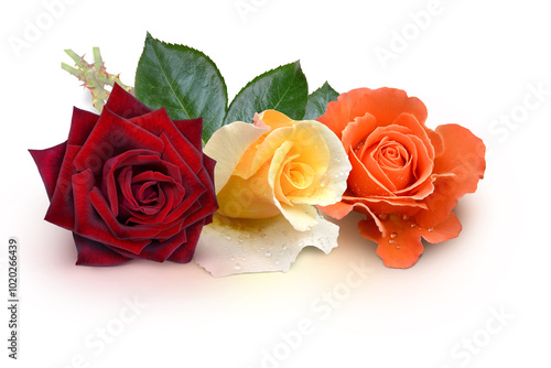 Naklejka Blumen 1492