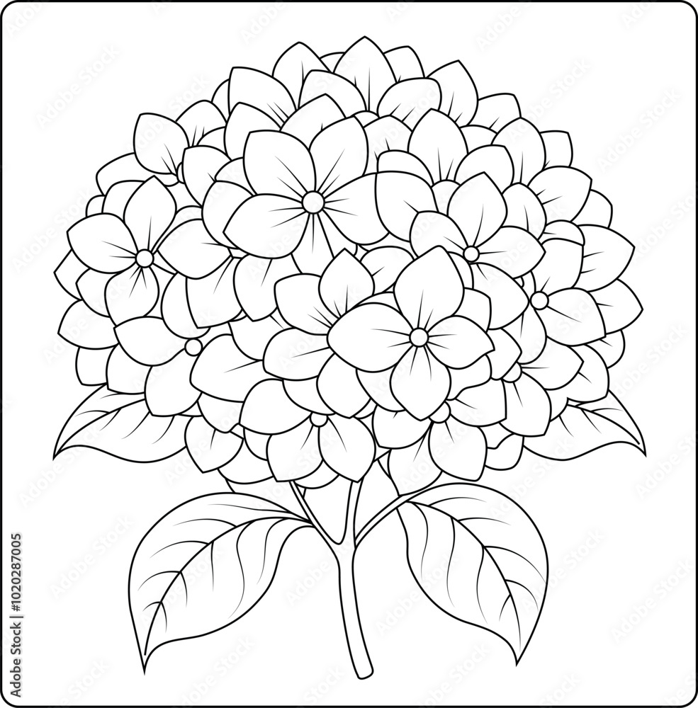 Fototapeta premium Hydrangea Bouquet Flower Coloring Pages for Creative Relaxation