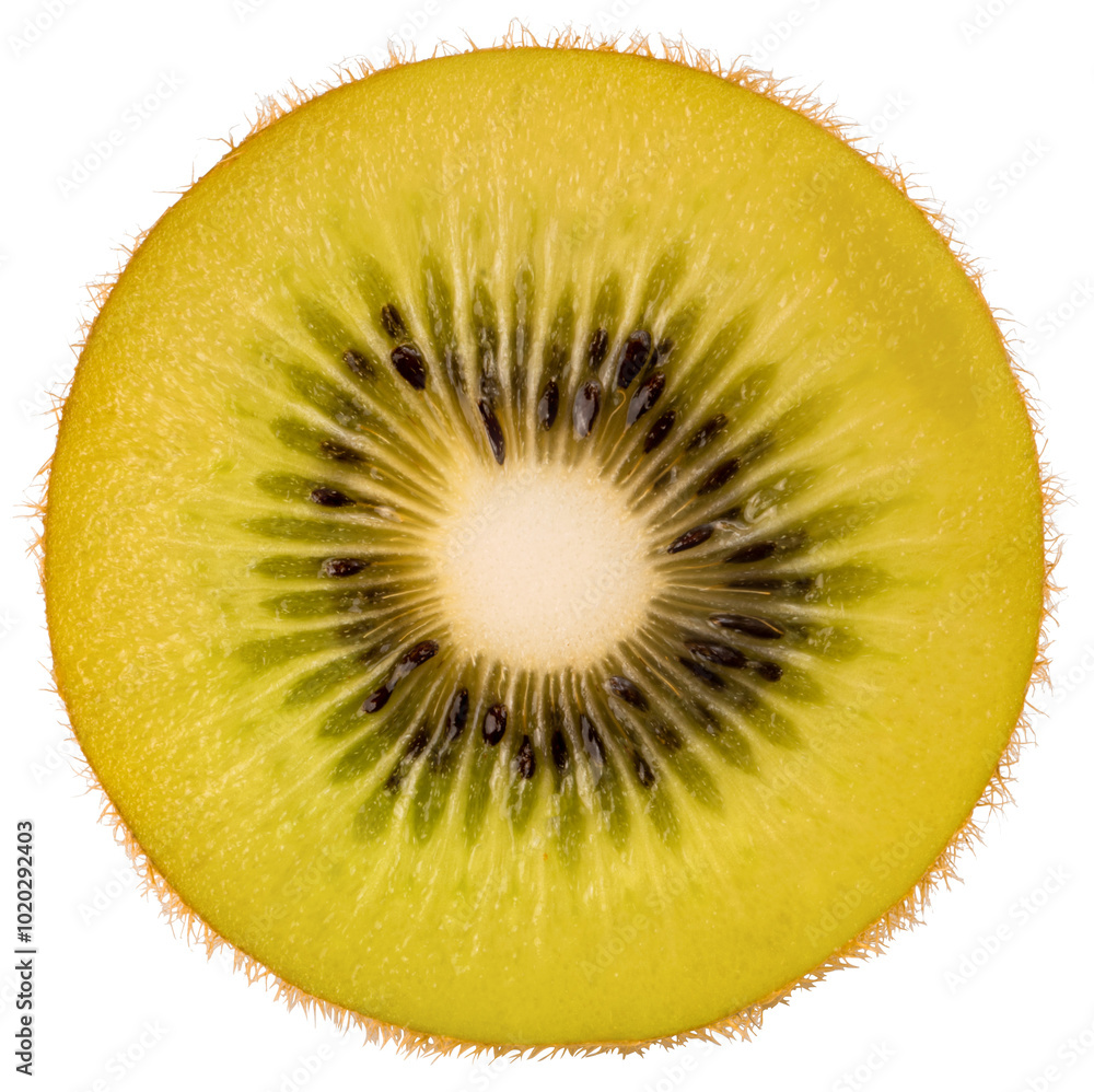Kiwi fruit on White background, Golden Kiwi isolate on white PNG file.