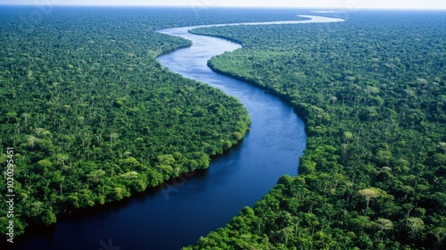 An Aerial View of a Winding River Through a Lush, Green Rainforest