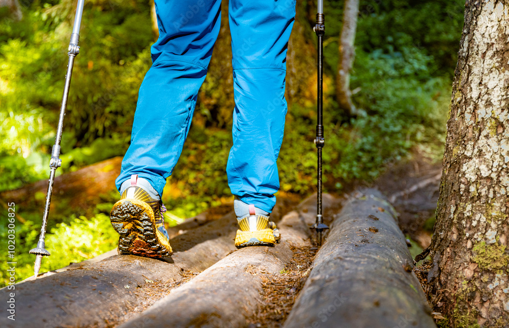 Hiking in the mountains with walking poles, beautiful views. Hiking in the mountains with walking poles, beautiful views.