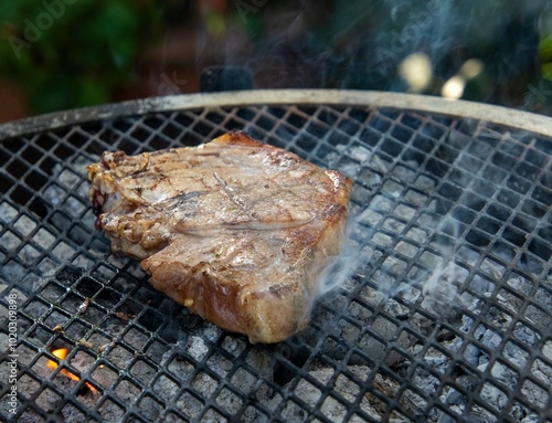 Red meat grilling on a barbecue in the outdoors