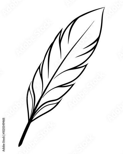 bird feather silhouettes vector illustration line art transparent background