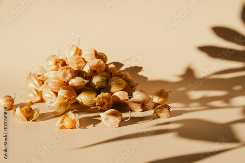 Husk tomato (Physalis) cape gooseberry, tomatillo, husk cherry, ground cherry bladder cherry, ceplukan. Columbia, India, Mexico. High quality photo in sunlight with a falling shadow from the leaves photo