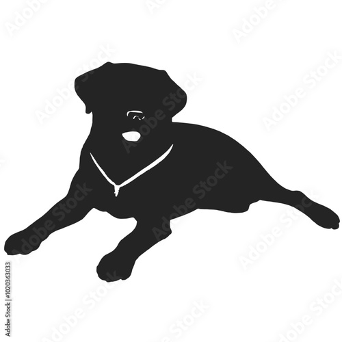 A black Labrador retriever dog lying down on the ground 