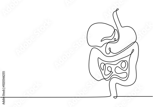 Digestive System One Line Drawing. Minimalist healthcare concept showing human digestion system.
