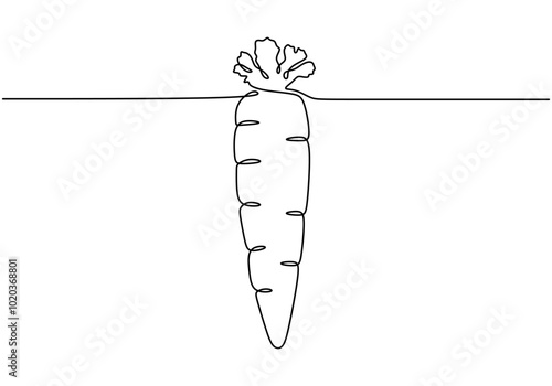 Continuous line drawing of a carrot. Minimalist illustration for food and vegetable concepts.