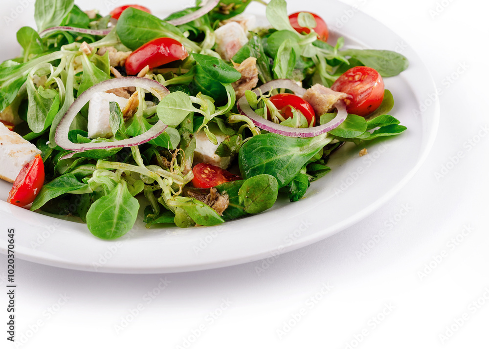 Fresh tuna salad with lettuce, tomatoes and feta cheese on white plate Fresh tuna salad with lettuce, tomatoes and feta cheese on white plate