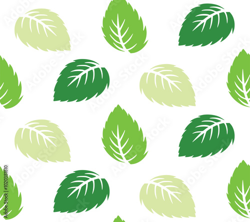 mint leaves pattern green