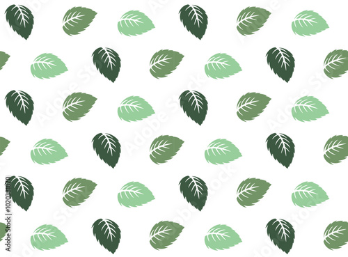 mint leaves pattern green