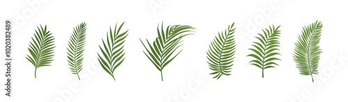 green palm tree vector silhouette vector design illustration
