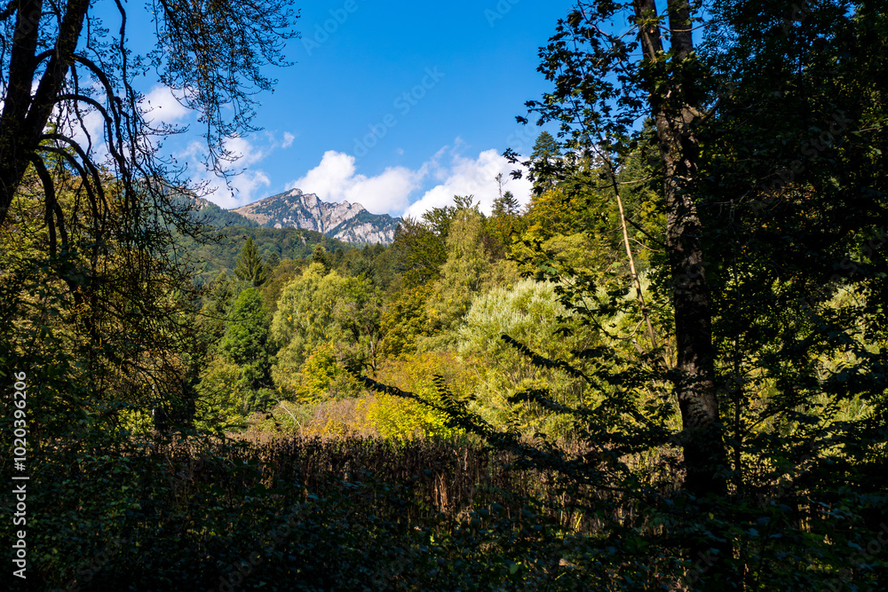 Mountain peak and forest landscape under bright blue sky Mountain peak and forest landscape under bright blue sky