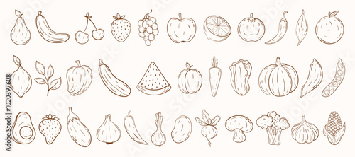 Outline vegetables and fruits collection. Hand draw doodle fruit and veggie icon set. Healthy food icons